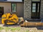Mini Track Loader Skid Steer, Baumalight Model TRL620Y