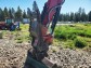 FOR SALE: 2022 12,000 lbs Mini Excavator, Hydraulic Thumb, 4-Way Dozer Blade, Yanmar Model ViO55-6A-7